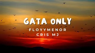 Thumbnail: FloyyMenor, Cris MJ - Gata Only (Letra)