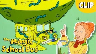 Thumbnail: How Pickles are Made  | Science for Kids | Magic School Bus