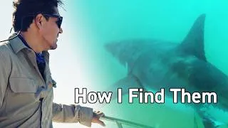 Thumbnail: How Filming Great White Sharks Changed My Life