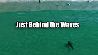 Thumbnail: They Were Focused on the Drone…Not the Sharks