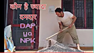 Thumbnail: iffco DAP 18-46 बेहतर या NPK 12-32-16  दमदार | NPK Fertilizer | Pravenn Thakur