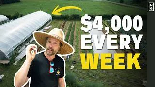 Thumbnail: These 5 Crops Can Earn You Over $60K From JUST ONE Greenhouse!