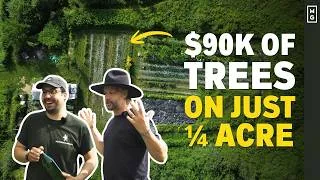 Thumbnail: This Micro Tree Nursery Is Epic! Big Profits, Tiny Space | Market Gardening BUT WITH TREES!