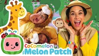 Thumbnail: Learn Through Play - Safari Animals For Toddlers with Ms. Appleberry | The Melon Patch