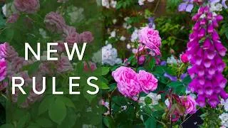 Thumbnail: Contemporary rose borders - easier, healthier and more beautiful