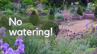 Thumbnail: The sand garden - tough, beautiful, low maintenance...