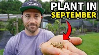 Thumbnail: 5 Crops You’ll Be HEARTBROKEN Not Planting in September!