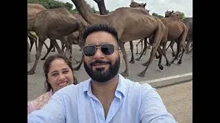 Thumbnail: Rajasthan memories #reels #shorts #viral #youtubeshorts #youtube 