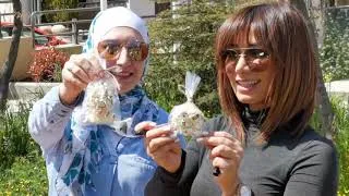 Thumbnail: كيف نجهّز سلّة الرحلات!