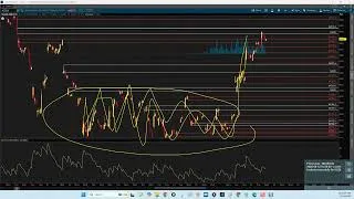 Thumbnail: Trading When a Single Tweet Can Erase Your Entire Position