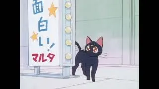Thumbnail: YouTube Poop: Sailor Moon Has No Chance Against the Cat