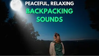Thumbnail: Relaxing Camping Sounds | Asmr Wind & Crickets | 10-Hour Peaceful Nature Sounds