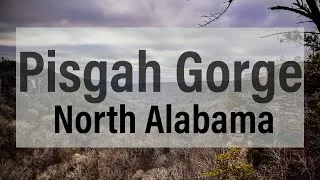 Thumbnail: Pisgah Gorge Hike