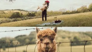 Thumbnail: Picnic With Cute Alpacas in Virginia – A Cozy Couple Day