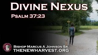 Thumbnail: A Divine Nexus Results in Miracles | Psalm 37:23 | Sunday Service