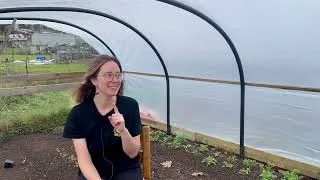 Thumbnail: Poetry in Petals