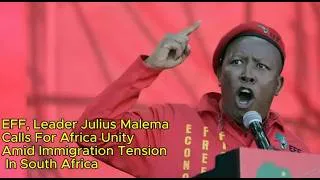 Thumbnail: EFF Leader Julius Malema Warns Against Afrophobia: Calls for Unity Amid Immigration Protests!