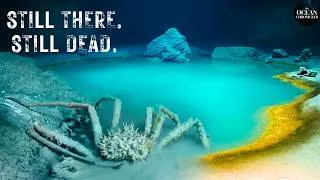Thumbnail: Why The Ocean Has Lakes That Kill in Seconds — And Preserve The Dead For Years?