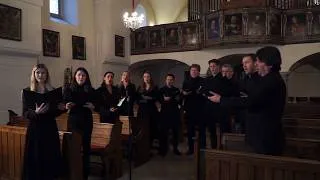 Thumbnail: Chesnokov - "Tebe Poem" - Ensemble from Members of the Vienna State Opera Chorus