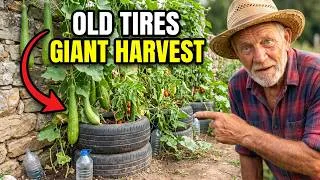 Thumbnail: Old Tires, Giant Harvests — The Growing Trick Nobody Talks About