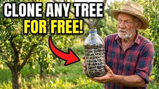 Thumbnail: Clone Any Fruit Tree for Free — The Old Method Nobody Uses Anymore