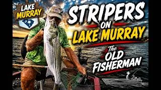 Thumbnail: Flutter Spoon Action, Striper Highlight,Lake Murray!