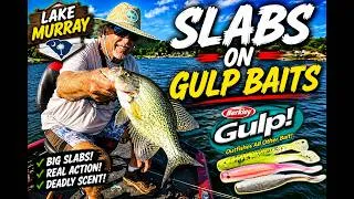 Thumbnail: Jumbo Slab Crappies Late July!