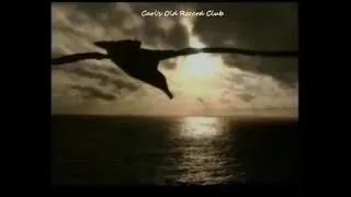 Thumbnail: Fleetwood Mac ~ Albatross  (1968)