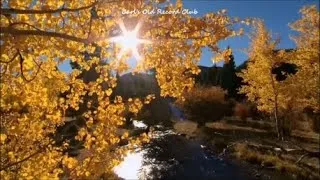 Thumbnail: Justin Hayward Moody Blues ~ Forever Autumn (1978)