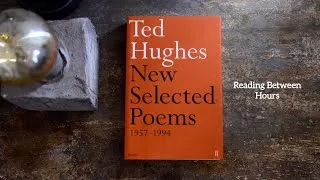 Thumbnail: Reading Vlog | Reading Between Hours: A day with Ted Hughes and Making Chicken Dumplings