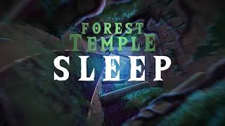 Thumbnail: Forest Temple Sleep Aid for Restless Poes (No AI)
