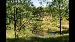 Thumbnail: Meertensgroeve, Vilt, July 28 2026