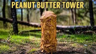 Thumbnail: Leaving a TOWER of PEANUT BUTTER in the Woods - Here's what happened! Trail Camera