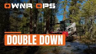 Thumbnail: When to Double Your Ad Spend (The 3-to-1 Rule)