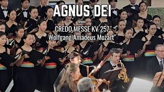 Thumbnail: AGNUS DEI from CREDO MESSE KV 257 by Wolfgang Amadeus Mozart