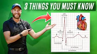 Thumbnail: Starting Paramedic School? Learn These 3 Lessons First