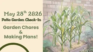 Thumbnail: May 28th Check-In | Making Room for Summer Crops 🌽🍠🫘🎃