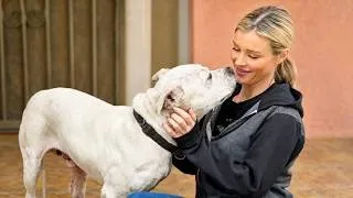 Thumbnail: She Saves the Pets People Can’t Afford to Lose