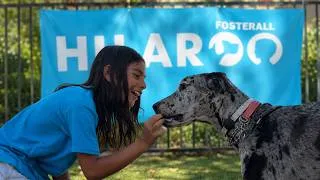 Thumbnail: Hilary Swank Helps Kids & Dogs Heal