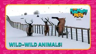 Thumbnail: Wild Wild Animals | The Funniest Pets