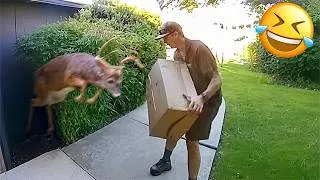 Thumbnail: Funniest Animal Videos 2026 😂 When Animals Have Perfect Comedy Timing
