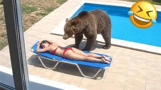 Thumbnail: Funniest Animal Videos 2026 😂 When Animals Ignore The Rules