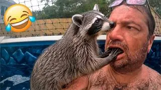 Thumbnail: Funniest Animal Videos 2026 😂 Animals Being Funny Without Even Trying