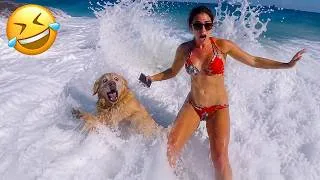 Thumbnail: Funniest Animal Videos 2026 😂 The Internet’s Funniest Animal Moments