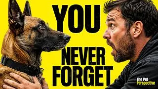 Thumbnail: The Belgian Malinois Moment Every Owner Remembers