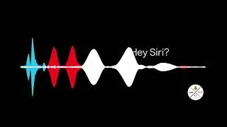 Thumbnail: Stephen A. Siri
