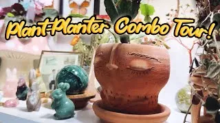 Thumbnail: Plant and Planter Combos | A Houseplant and Planter Tour | Plant Styling and Decor