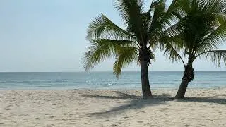 Thumbnail: 1 hour - Ambient Ocean (Monumental Journey by Jesse Gallagher)