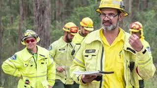 Thumbnail: Where Koala Care Meets Place Management | Guulabaa Place of Koala
