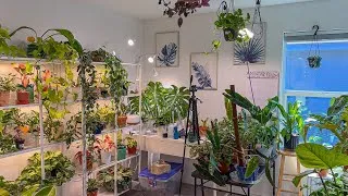 Thumbnail: Full Plant Room Tour 🌱 August Reflection: Pests, Neem Oil Shine & New Growth